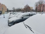 W regionie koszalińskim znowu pojawiła się zima. Zrobiło się biało, jest mroźno [ZDJĘCIA]