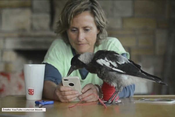 Penguin ma własne konto na Instragramie, jest bliskim członkiem rodziny.