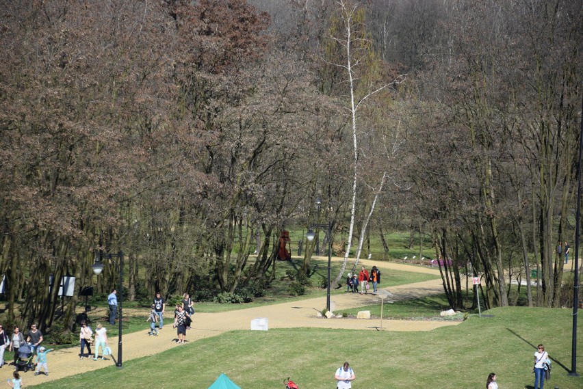 Śląski Ogród Botaniczny. Międzynarodowy Dzień Ptaków