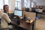 Co-working. wirtualne biuro - propozycje dla młodych firm z Opola  