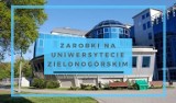 Lubuska lista płac. Ile zarabiają pracownicy Uniwersytetu Zielonogórskiego [ZAROBKI NAUCZYCIELI AKADEMICKICH, ADMINISTRACJI I OBSŁUGI]