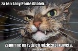 Poniedziałek wielkanocny będzie bardzo mokry. Te memy o lanym poniedziałku rozbawią Was do łez