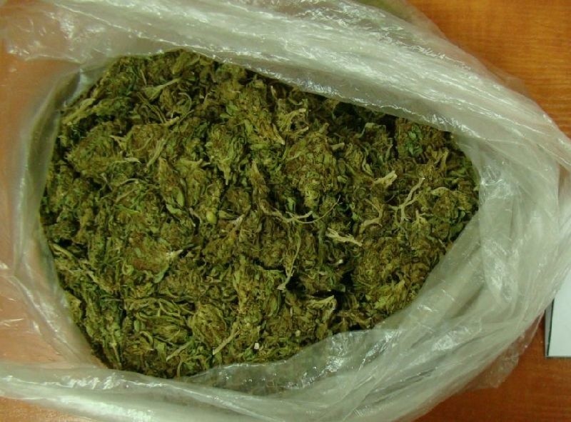 Narkotykowe zatrzymanie w powiecie kieleckim. 24-latek usłyszał zarzuty handlu narkotykami (WIDEO)