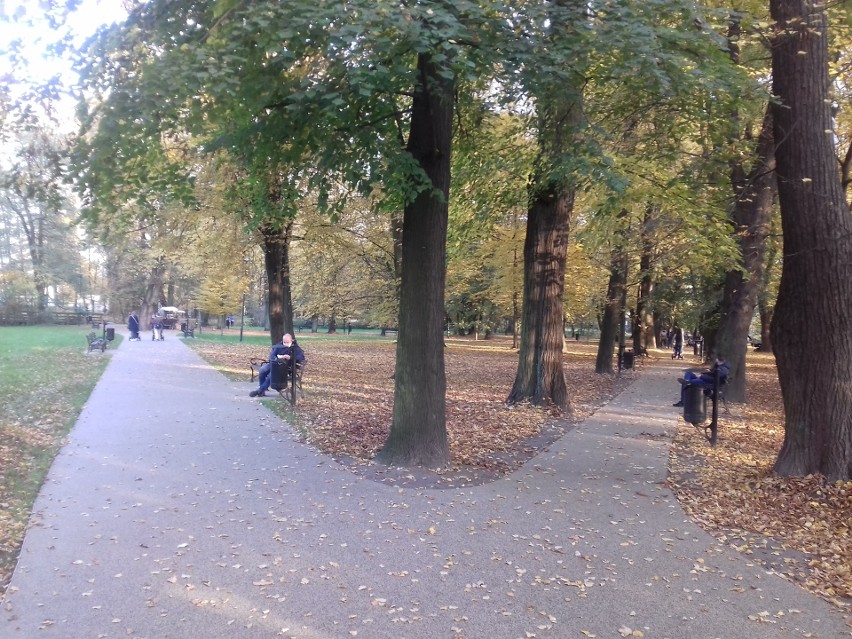 Park Tadeusza Kościuszki w Krakowie znów bez śniegu. Można w nim spędzić aktywnie czas, nie tylko na spacerze [ZDJĘCIA]