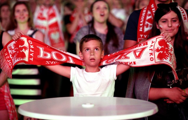 Strefa ma stanąć na terenie kompleksu pływackiego Aqua Lublin, podobnie jak w trakcie Euro 2016