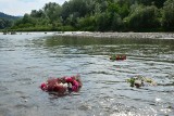 Myślenice. Wianki nad Rabą z koncertami, rycerzami i czworonogami 