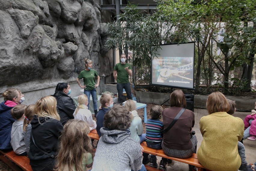 W niedzielę 23 stycznia w Starym Zoo odbyło się nietypowe...