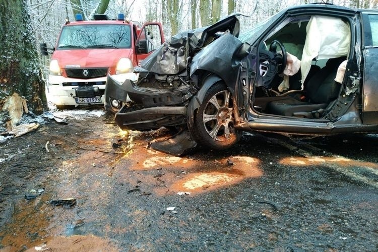 Groźny wypadek w Czerwionce-Leszczynach. 60-latek uderzył w drzewo ZDJĘCIA