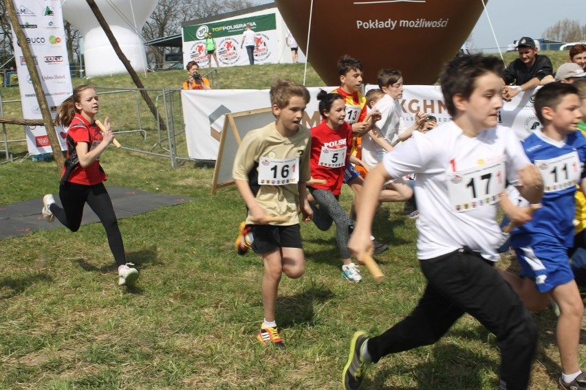 Cross Straceńców 2015. Sztafetowe Mistrzostwa Głogowa [Zdjęcia]