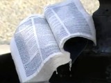 Świętokradztwo czy głupota. Podarta Biblia trafiła do wodopojki. Nikt nie zareagował. (wideo)