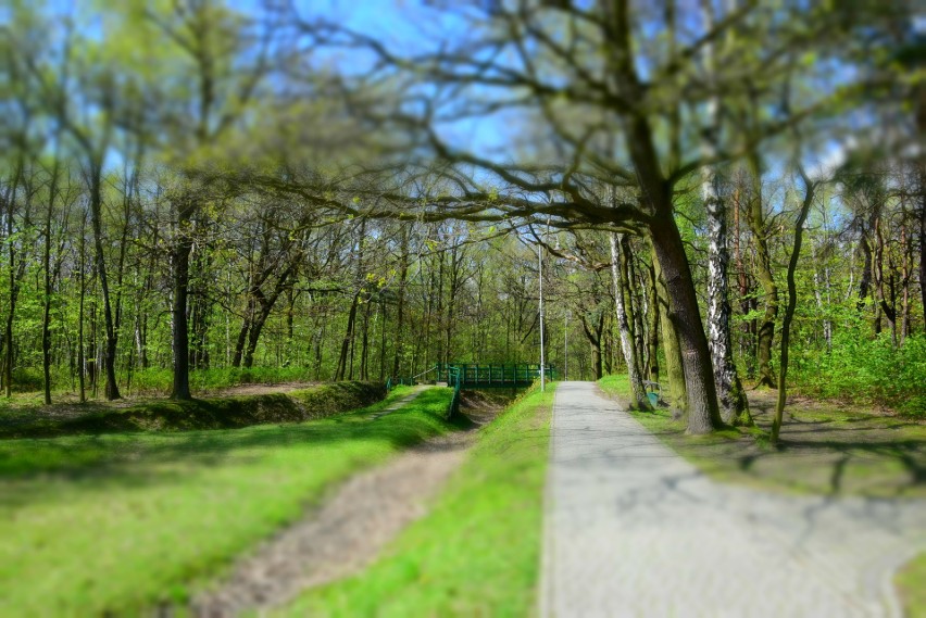 Park Kościuszki w Katowicach