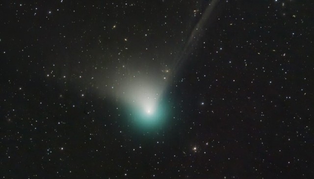 Kometa najlepiej będzie widoczna między północą i świtem (1-2 lutego). Zobacz, jak wygląda >>>