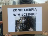 Kraków. Kolejna awantura na proteście przeciw dorożkom. Interweniowała policja