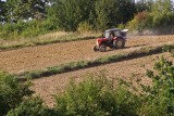 Lubelskie. Używane ciągniki rolnicze. Te traktory kupisz do 20 tys. zł. Zobacz oferty z OLX