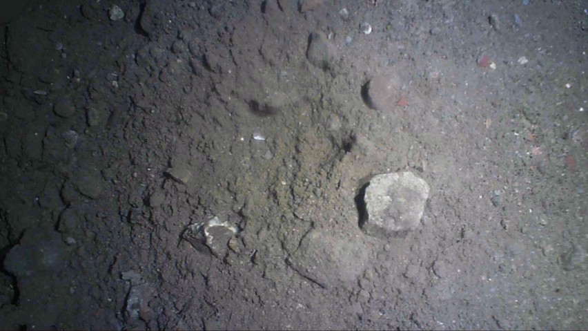 Odkrycie przy Bramie Krakowskiej. Zaglądamy do studni, którą odkryto podczas remontu deptaka (WIDEO)
