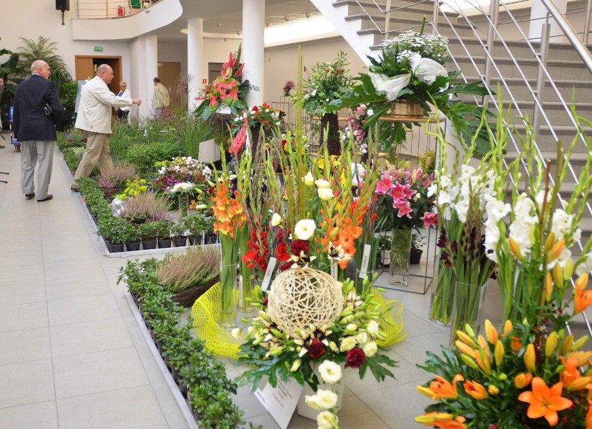 Wystawa kwiatów i roślin ozdobnych w Miejskiej Galerii Sztuki [ZDJĘCIA]