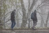 Prognoza pogody na najbliższe dni. Mróz i śnieżyce nadchodzą do Polski. "Niemalże cały kraj przykryty jest białą kołderką"