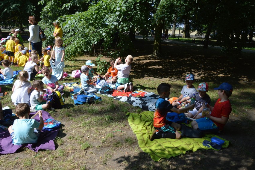 BajkaRun w Opolu. W zawodach wystartowało ok. 300 dzieci....