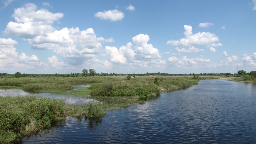 Biebrzański Park Narodowy jest największym Parkiem Narodowym...