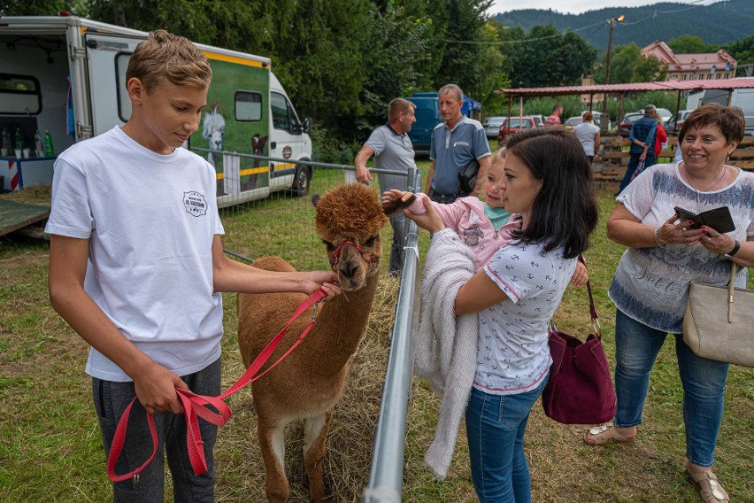 Nawojowa. Ponad 400 wystawców przyjechało z całej Polski na Agropromocję 