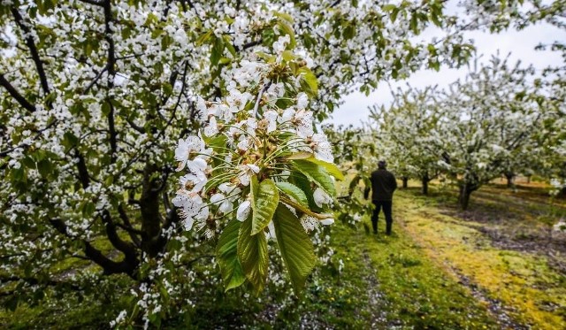 Pogoda Bieszczady Majówka 2019