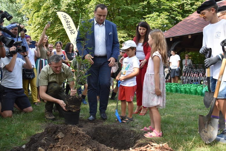 Akcja sadzenia drzewek w Paku Śląskim