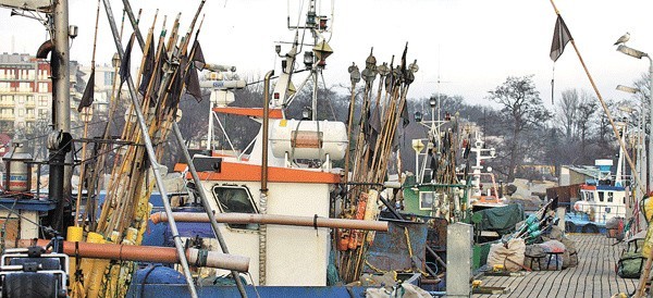 Port rybacki w Kołobrzegu. Cumuje tu 60 jednostek. Większość naszych rybaków jest przeciwna pomysłowi zmniejszenia wymiarów ochronnych dorsza. 