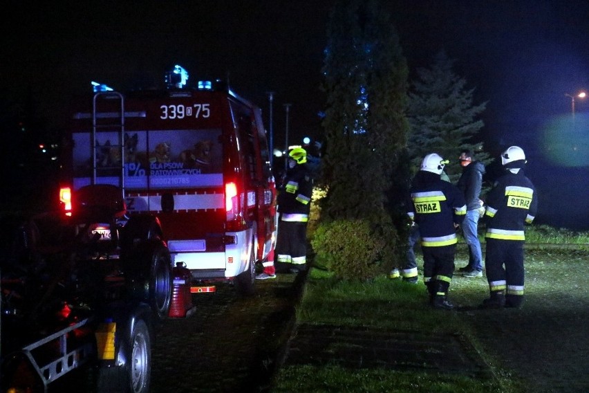 Nocne poszukiwania zaginionej Małgosi z Kiełczowa pod...