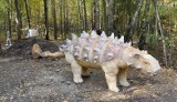 Dinozaury w Parku im. Jacka Kuronia w Sosnowcu. Projekt Dino jest w trakcie realizacji