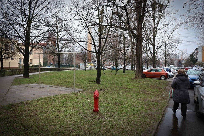 Geometryczny środek Wrocławia na zieleńcu w pobliżu ulicy...