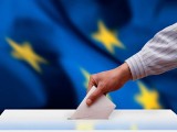 Wybory do Parlamentu Europejskiego 2014 - jak głosować?