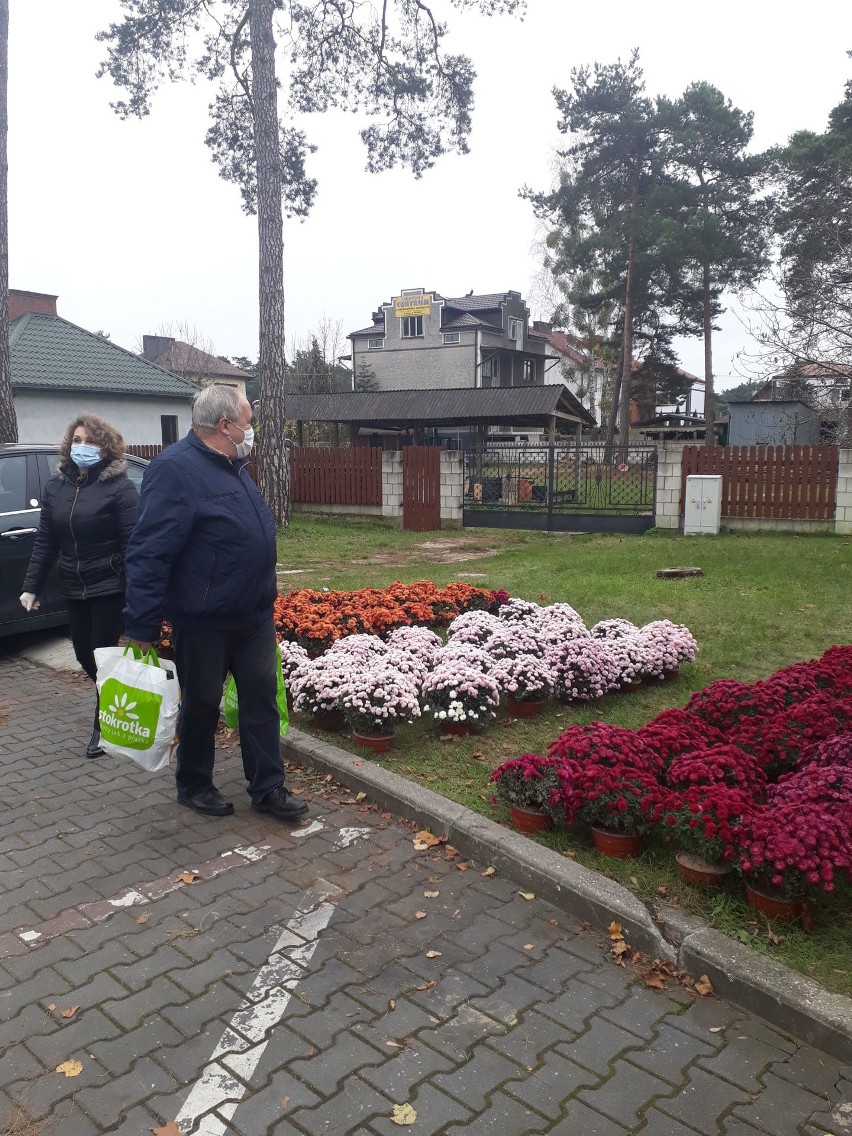 Można było wybierać z kilku odmian i kolorów kwiatów.