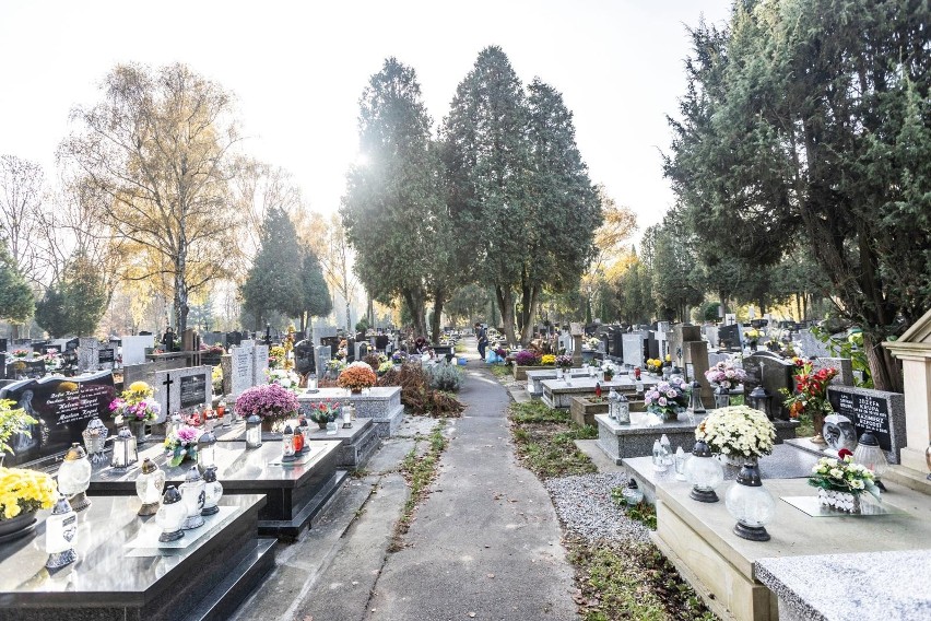 Wielkie zamieszanie z parkowaniem przy Cmentarzu Batowice w Krakowie. Urząd  zachęca do podróży komunikacją miejską | Gazeta Krakowska