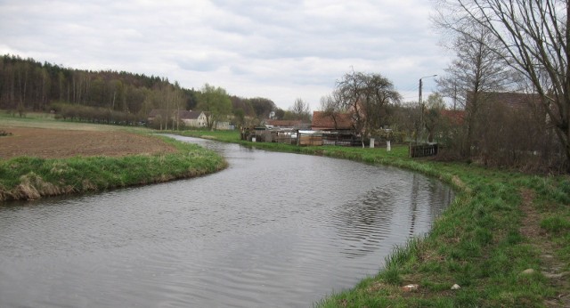 Kuzemczakowie twierdzą, że od czasu wybudowania elektrowni wodnej poziom rzeki Szprotawa podniósł się o 1,5 m .