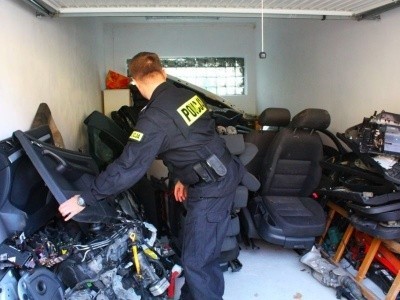 W dziupli policjanci znaleźli części należące do siedmiu...