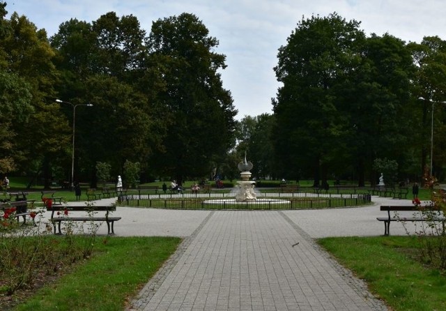 Park im. Sienkiewicza to pierwsza „zielona inwestycja” realizowana w ramach programu rewitalizacji obszarowej.
