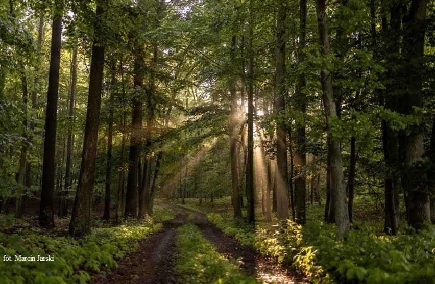 Zdjęcia laureatów konkursu „Krajeński Park Krajobrazowy i...