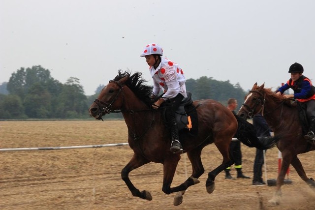 Pokazowe wyścigi konne w Udorzu