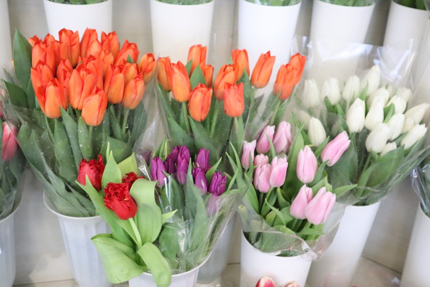 Jeden tulipan kosztuje 3 zł.