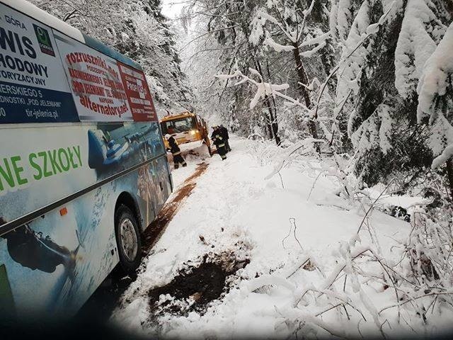 Drzewo zablokowało drogę. Autobus z dziećmi ściągało w stronę skarpy