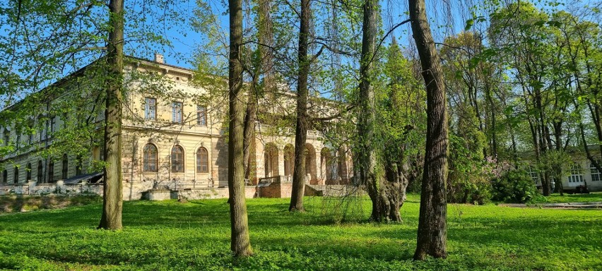 Można odpocząć na rynku, przy stawie lub zobaczyć piękny...