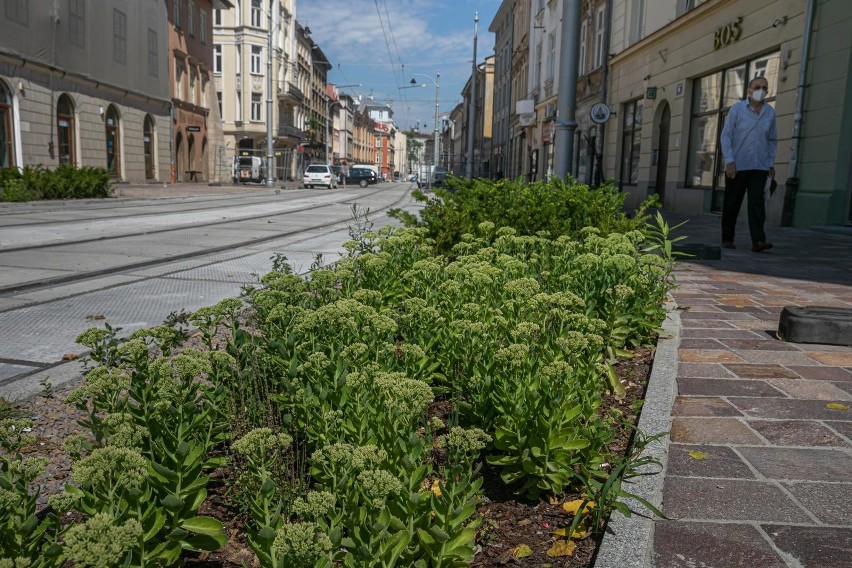 Kraków. Na przejazd ulicą Krakowską jeszcze musimy poczekać. Tramwaje mają na nią wrócić w drugiej połowie sierpnia [ZDJĘCIA]