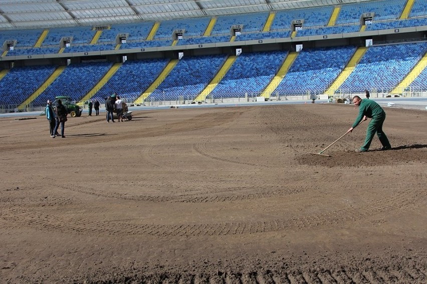 Na Stadionie Śląskim położono nową murawę. Tak, jak ta...