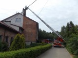 W gminie Bieliny strażacy gasili pożar bocianiego gniazda na dachu szkoły