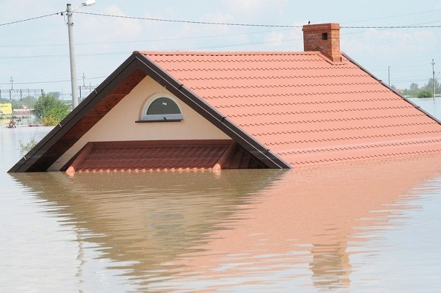 Według Józefa Rzepeckiego z Tarnobrzega, aby uniknąć już widoku zalanych gospodarstw domowych należy budować domy na betonowych filarach.