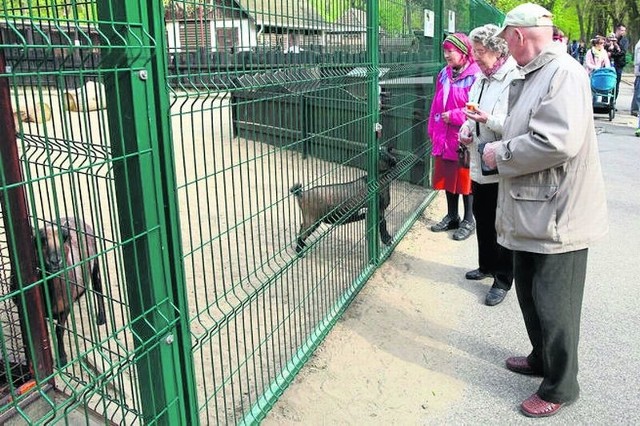 Orientarium zajmie m.in. teren minizoo. 