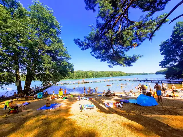 Jezioro Lubie w Lipach to wyjątkowo urokliwe miejsce na wakacyjny wypoczynek. Dotrzesz tu autem i rowerem, a na miejscu możesz wypożyczyć kajak lub rowerek wodny.
