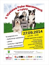 Wystawa psów nierasowych w Łężycy (program imprezy)