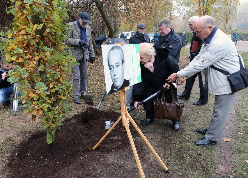 Kolejne Drzewka Pamięci trafiły na Cmentarz Centralny