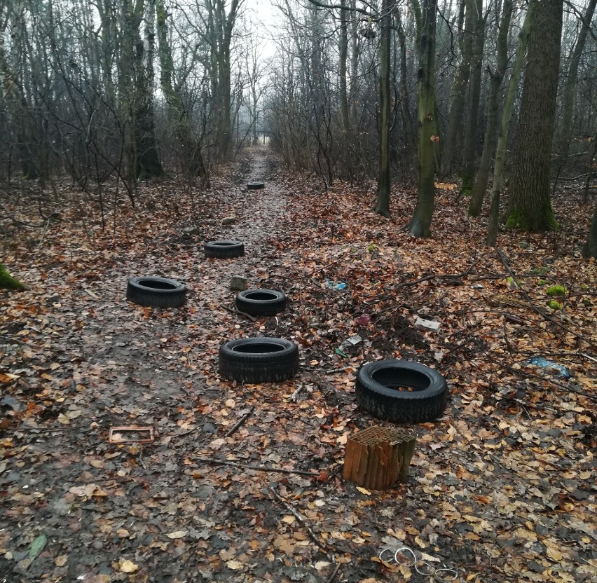 Dzikie wysypisko odpadów w pobliżu Parku Zielona w Dąbrowie...